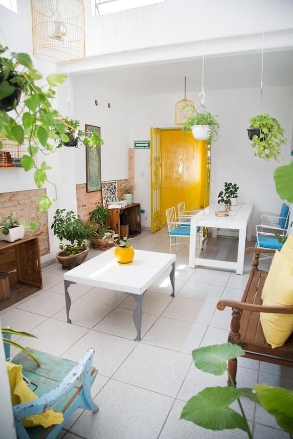Casa Canario Hostel غوادالاجارا المظهر الخارجي الصورة