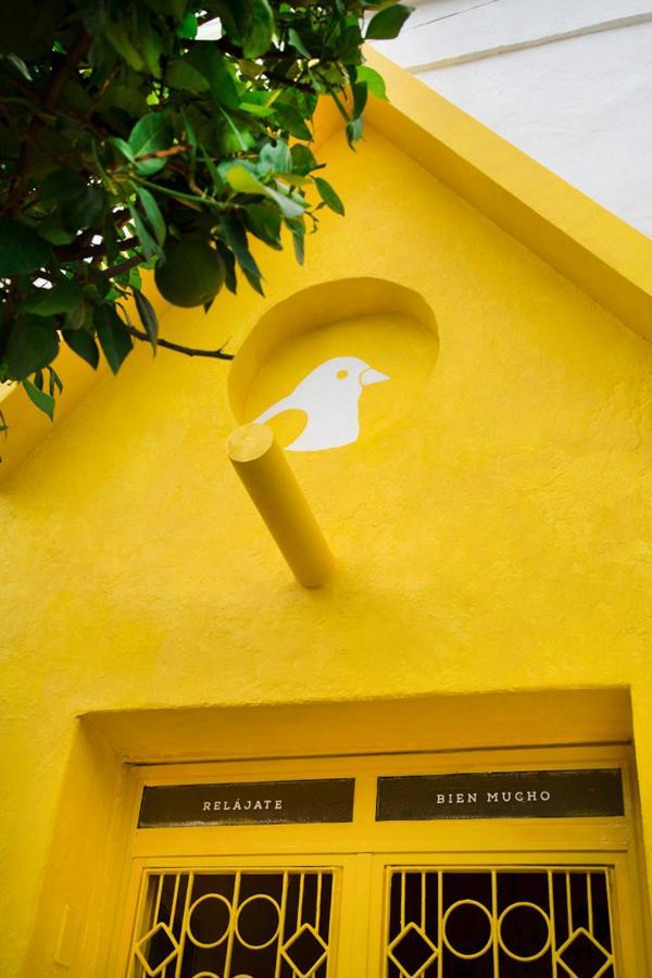 Casa Canario Hostel غوادالاجارا المظهر الخارجي الصورة