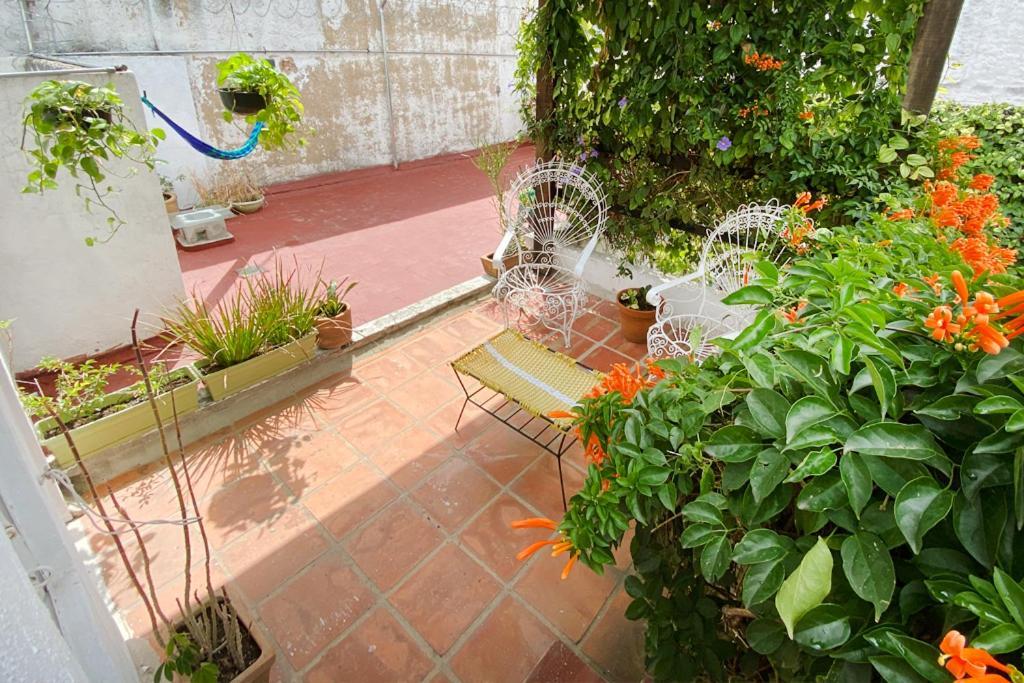 Casa Canario Hostel غوادالاجارا المظهر الخارجي الصورة