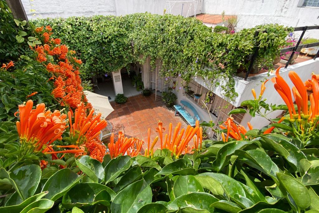 Casa Canario Hostel غوادالاجارا المظهر الخارجي الصورة