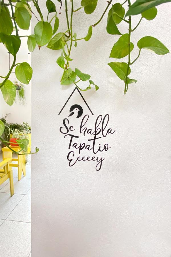 Casa Canario Hostel غوادالاجارا المظهر الخارجي الصورة