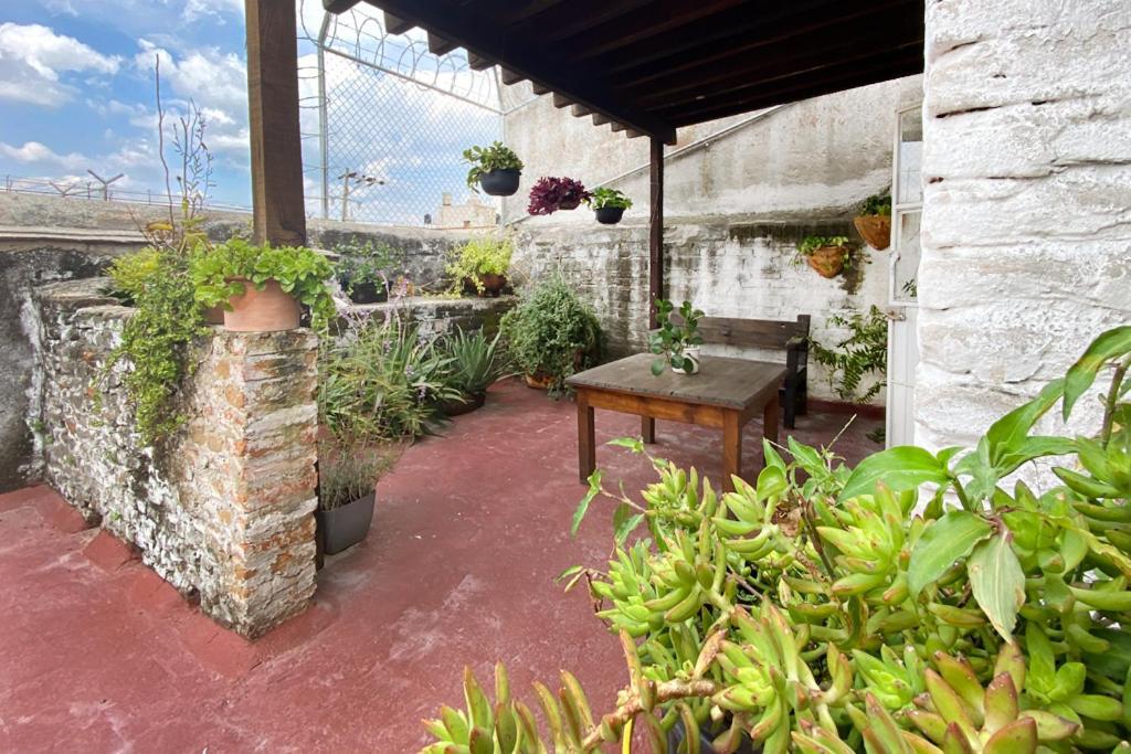 Casa Canario Hostel غوادالاجارا المظهر الخارجي الصورة